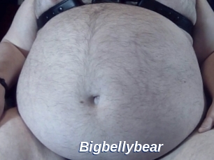 Bigbellybear