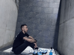 Bigboss22