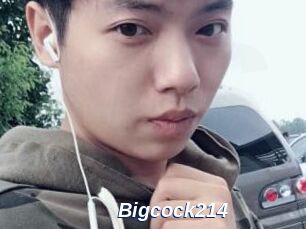 Bigcock214
