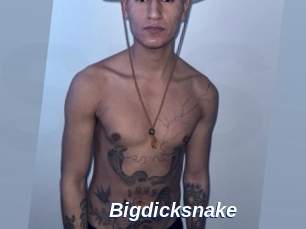 Bigdicksnake