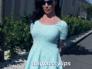 Bigpussylips