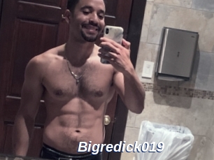 Bigredick019