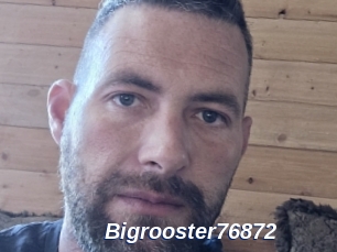 Bigrooster76872