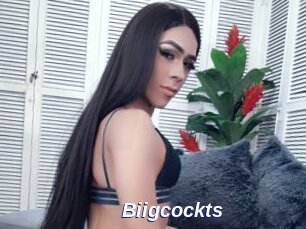 Biigcockts