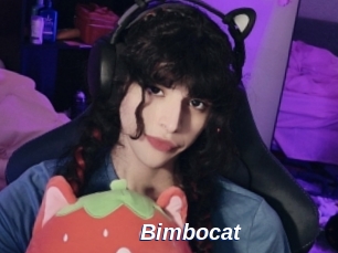 Bimbocat