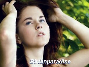 Birdinparadise