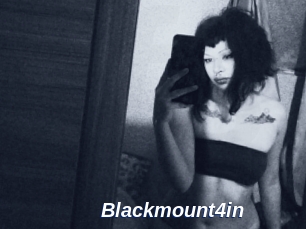 Blackmount4in
