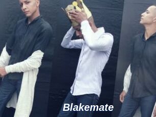 Blakemate