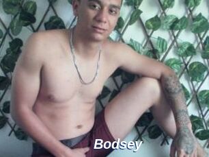 Bodsey