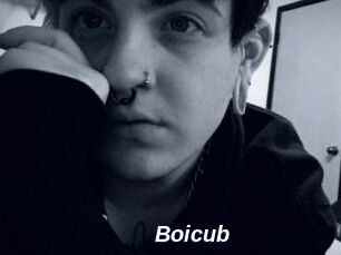 Boicub
