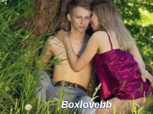 Boxlovebb