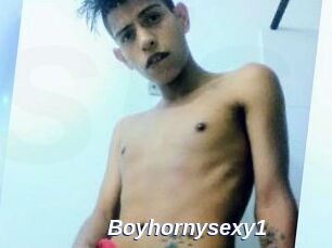 Boyhornysexy1