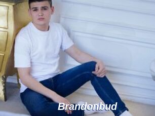 Brandonbud