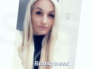 Brandyweed