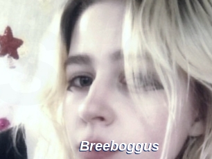 Breeboggus