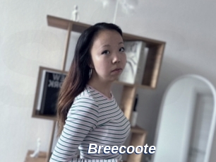 Breecoote