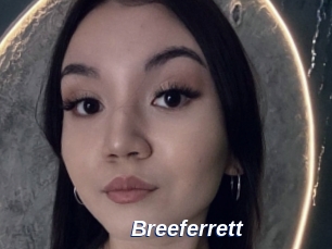 Breeferrett