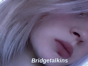 Bridgetalkins