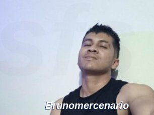 Brunomercenario