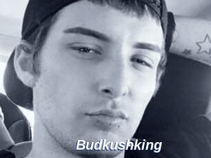 Budkushking