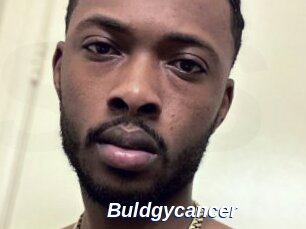 Buldgycancer