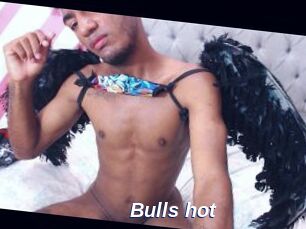Bulls_hot