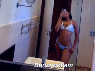 Bunnyoncam