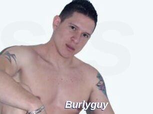 Burlyguy