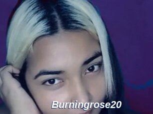 Burningrose20
