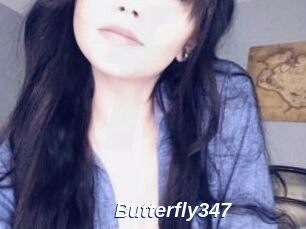 Butterfly347