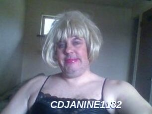 CDJANINE1182