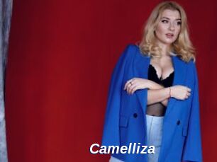 Camelliza Safer Sex