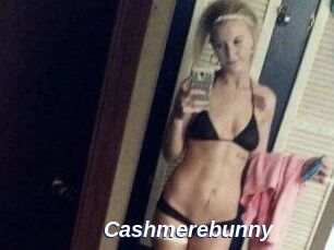 Cashmerebunny