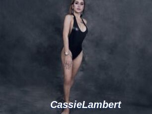 CassieLambert Safer Sex