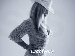 Catofyork