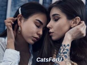 CatsForU