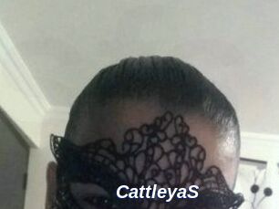 Cattleya_S