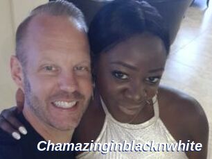 Chamazinginblacknwhite
