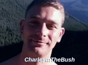 CharleyInTheBush