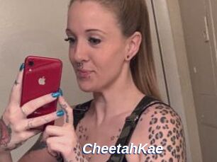CheetahKae