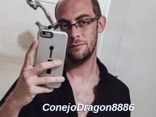 ConejoDragon8886
