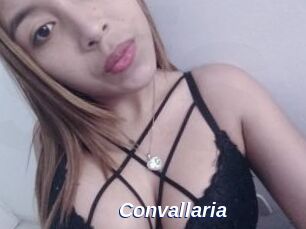 Convallaria