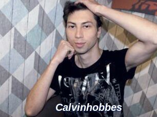Calvinhobbes