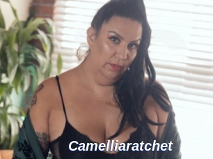 Camelliaratchet