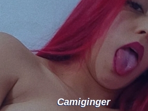 Camiginger