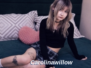 Carolinawillow
