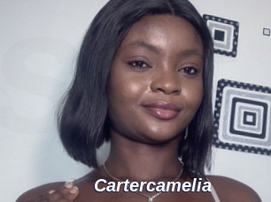 Cartercamelia