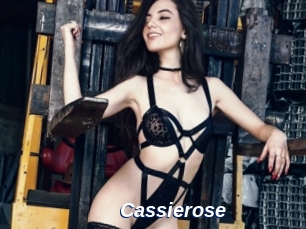 Cassierose