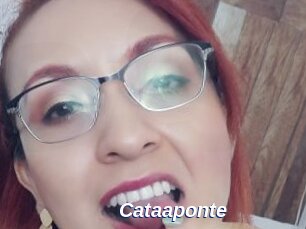 Cataaponte