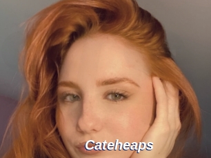 Cateheaps